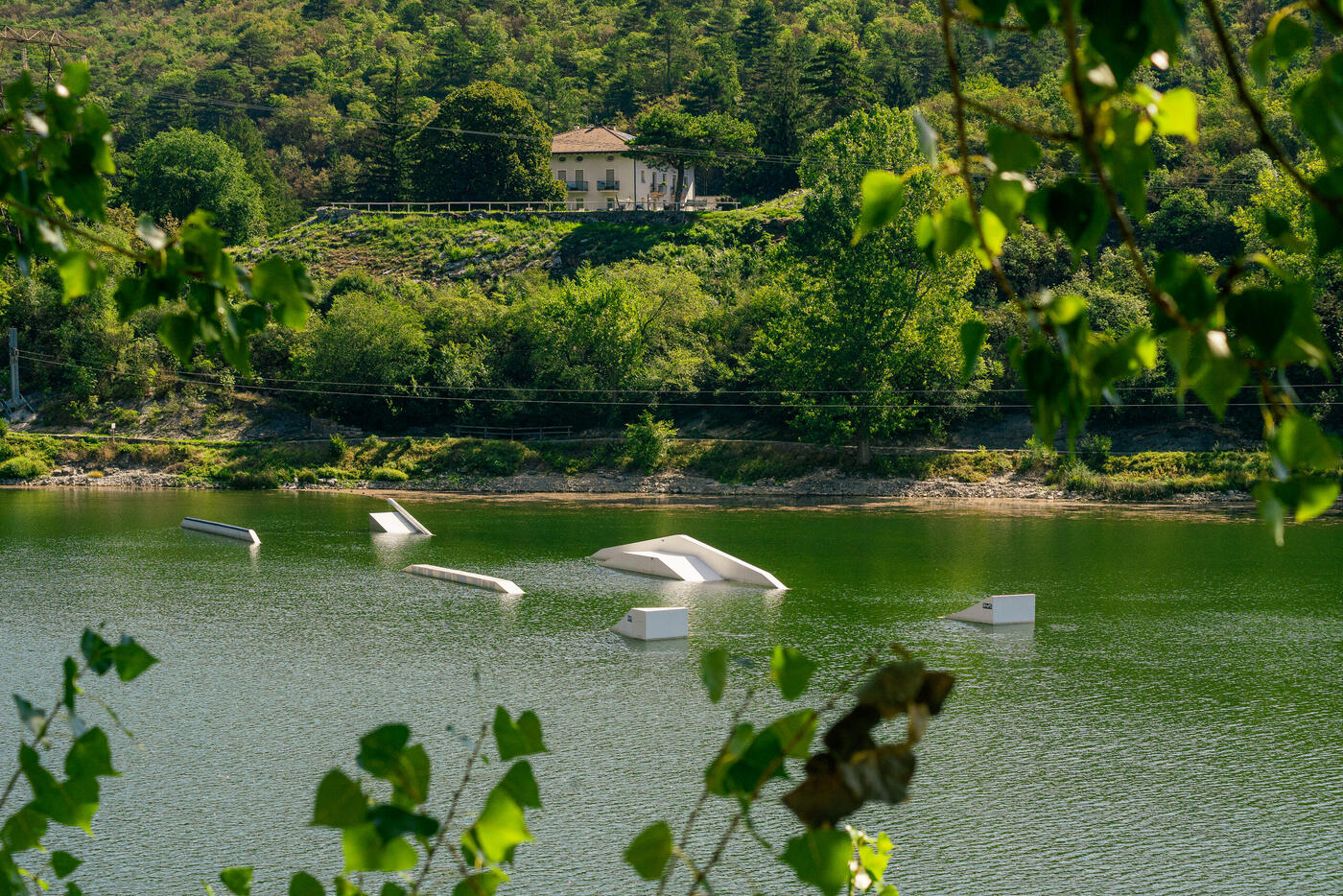 Gli ostacoli bianchi galleggianti in mezzo al lago, visti dalla riva fra i rami